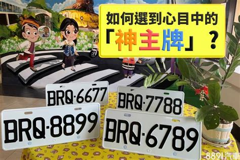 屬龍車牌號碼|車牌選號工具｜附：車牌吉凶、數字五行命理分析 – 免 